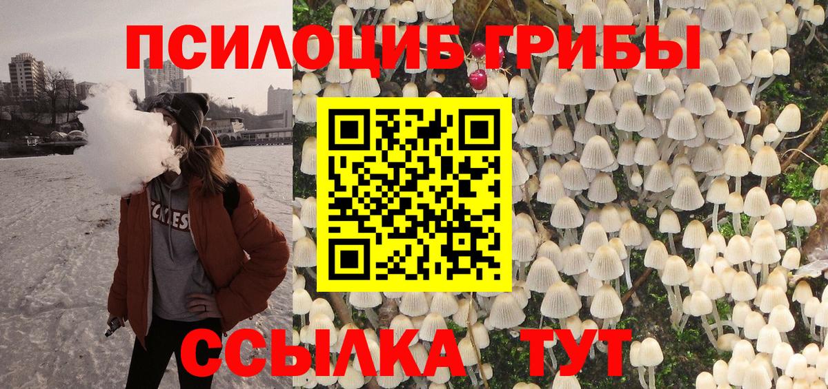 Галлюциногенные грибы Psilocybe  Вход с VPN  Железноводск 