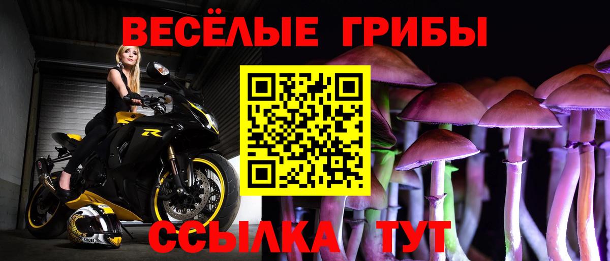 Галлюциногенные грибы Psilocybe Железноводск